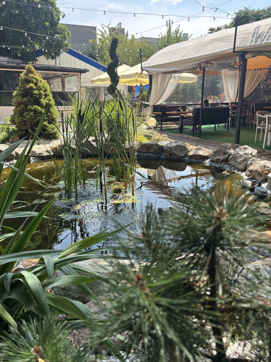 Jack Garden — jazierko s kačkami